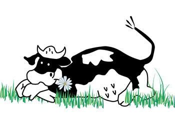 Minicamping de Groene Weide