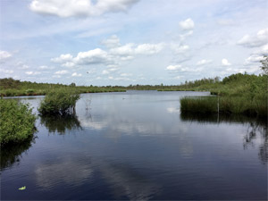 Noord-Brabant