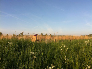 Overijssel